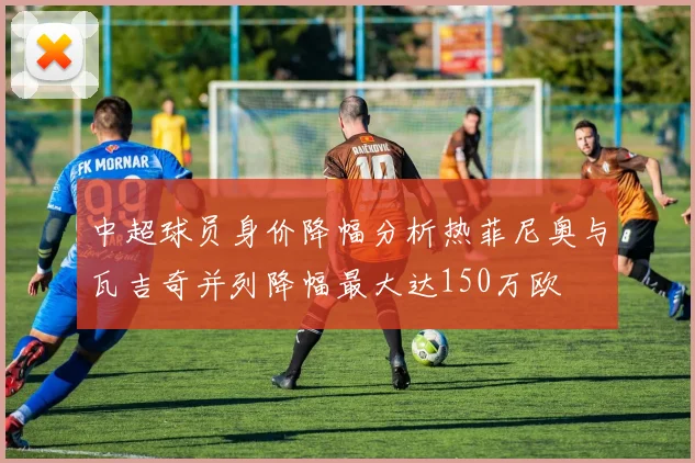中超球员身价降幅分析热菲尼奥与瓦吉奇并列降幅最大达150万欧